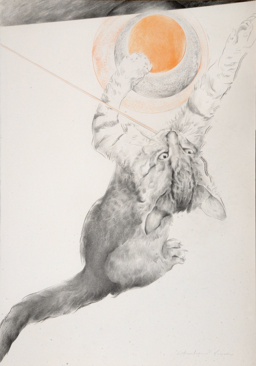 Image inconnue - Antonio Ciccone