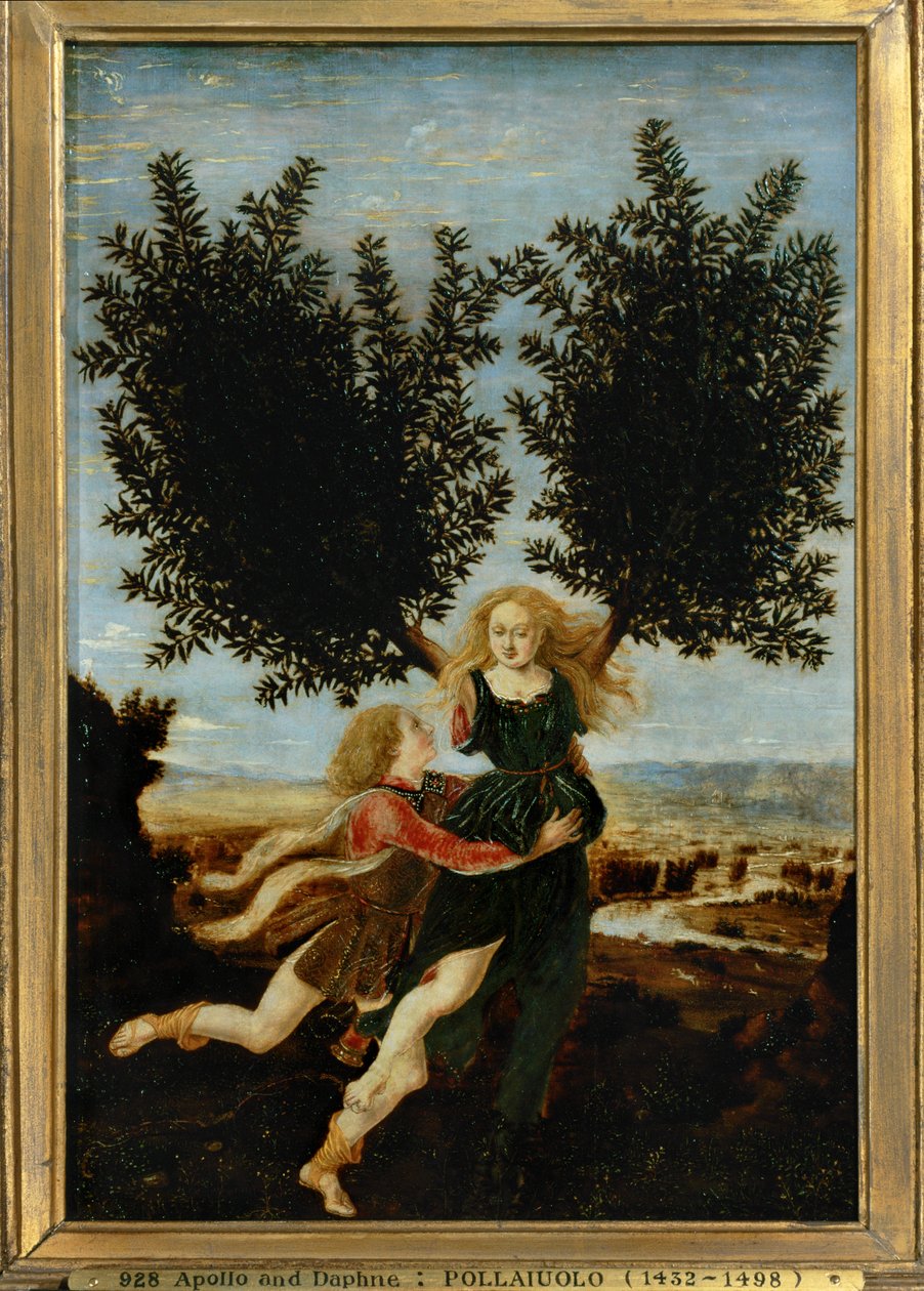 Apollon et Daphné ... (peinture sur toile) - Antonio Pollaiuolo