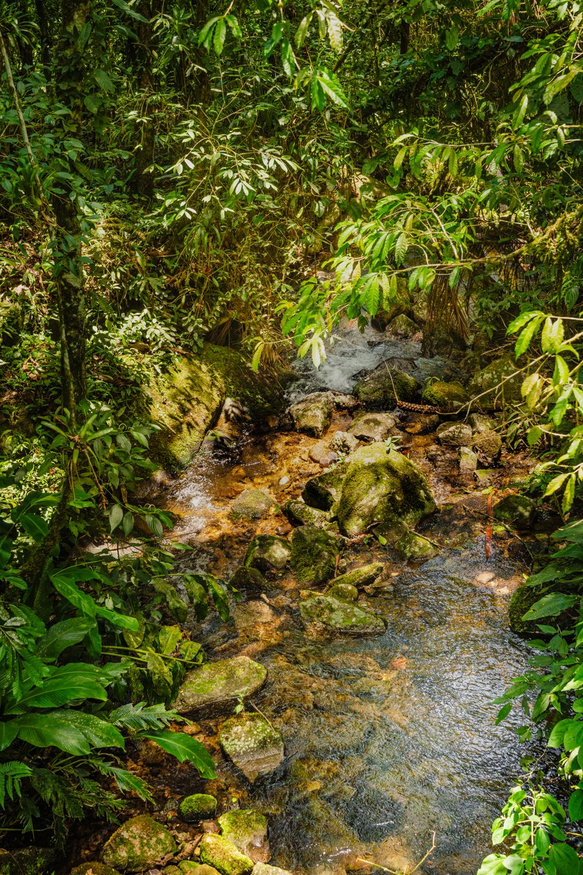 Mantiqueira Ridge, 2021 (photo) - Antonio Schubert