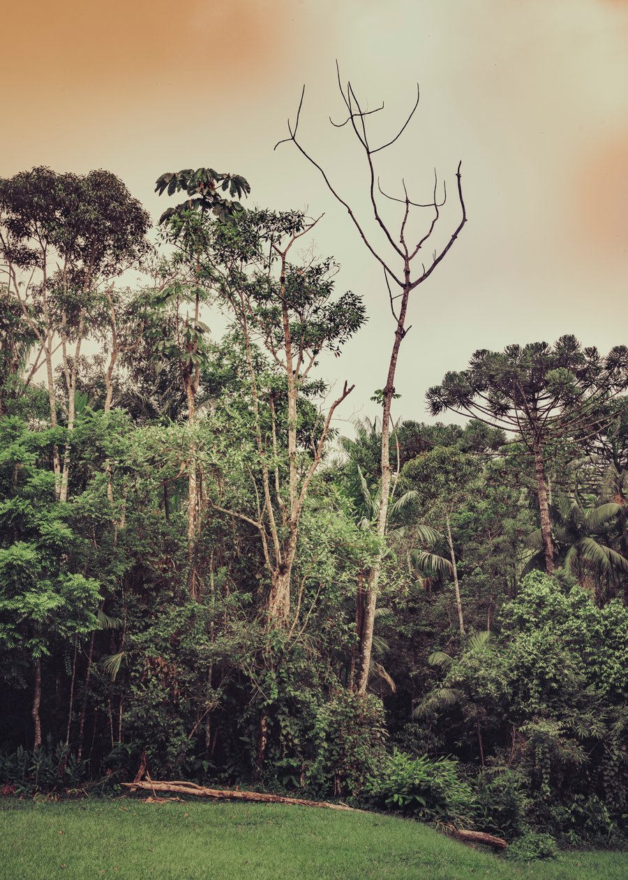 Mantiqueira XLV, 2021 (photo) - Antonio Schubert