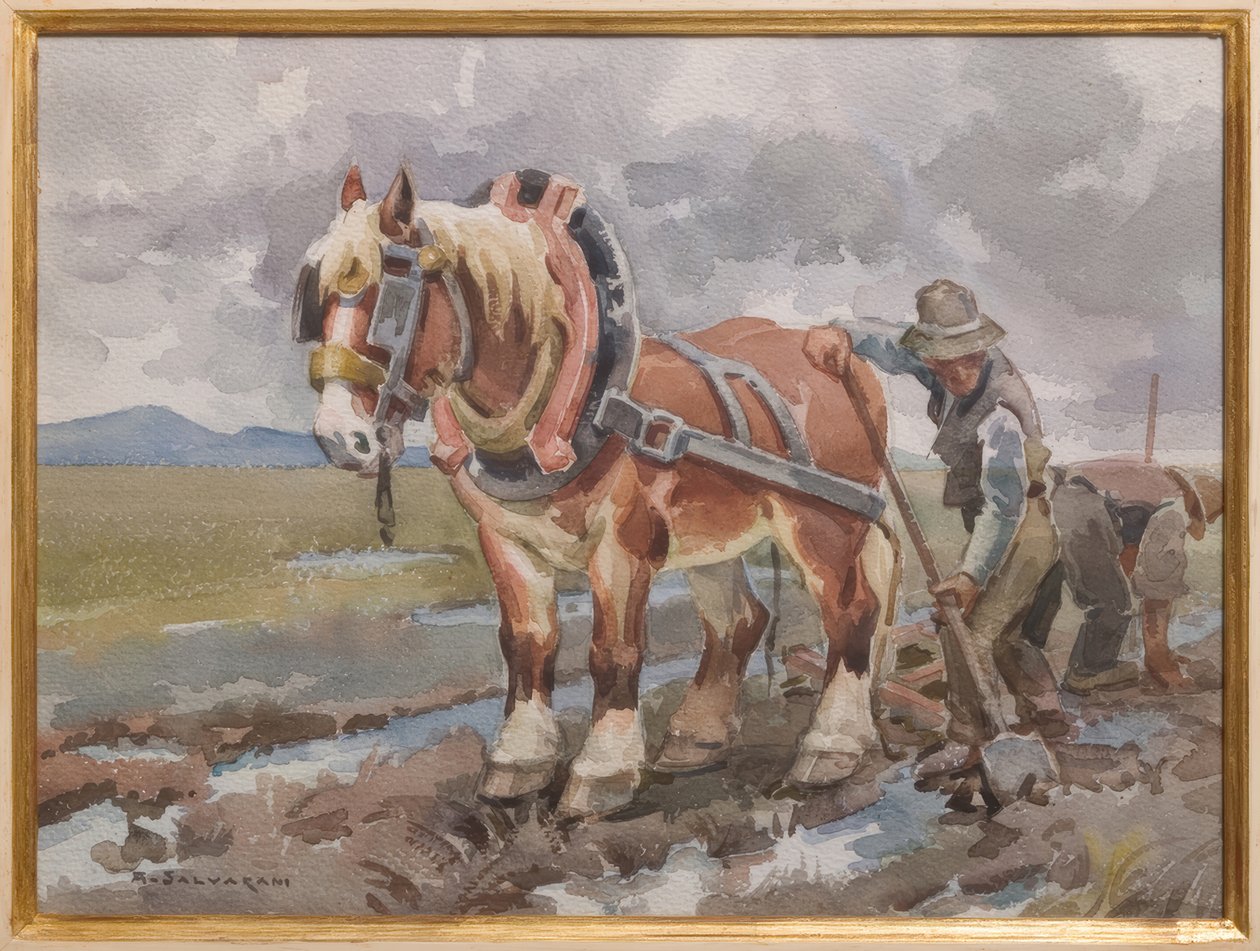 Travail dans les champs - Arcangelo Salvarani
