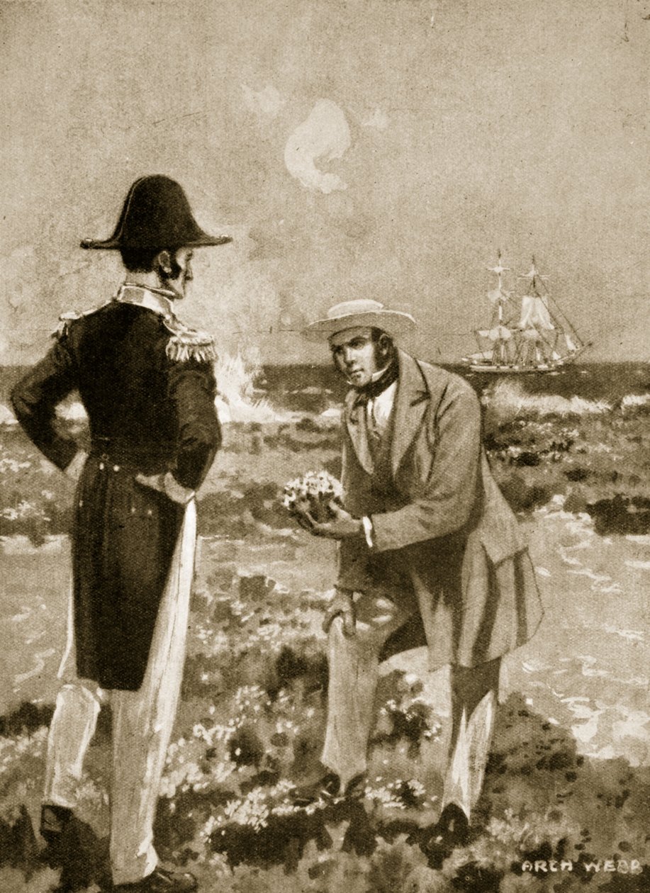 Darwin trouve un spécimen intéressant - Archibald Webb