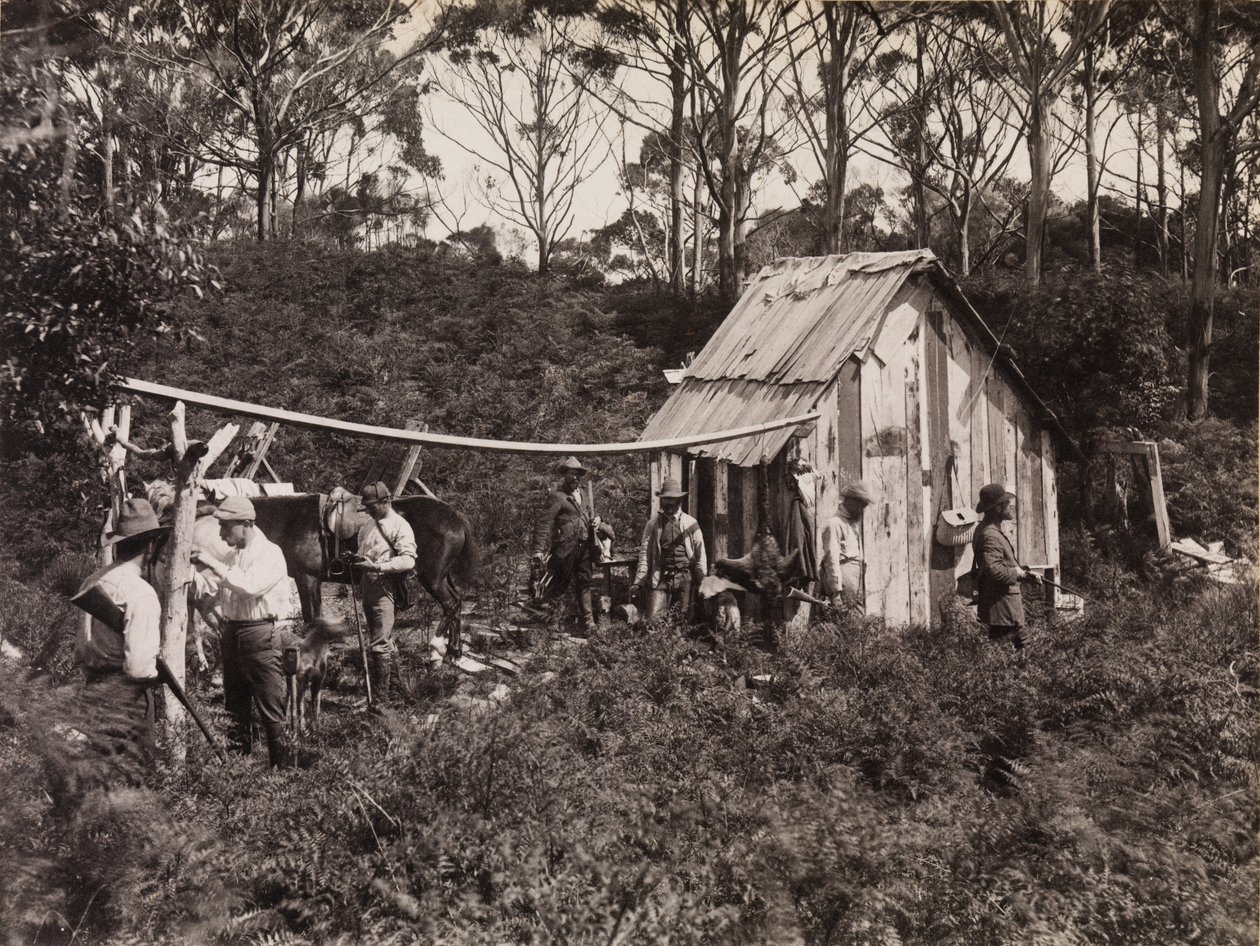 Cabane de Bertie, expédition du Club des naturalistes à King Island - Archibald James Campbell