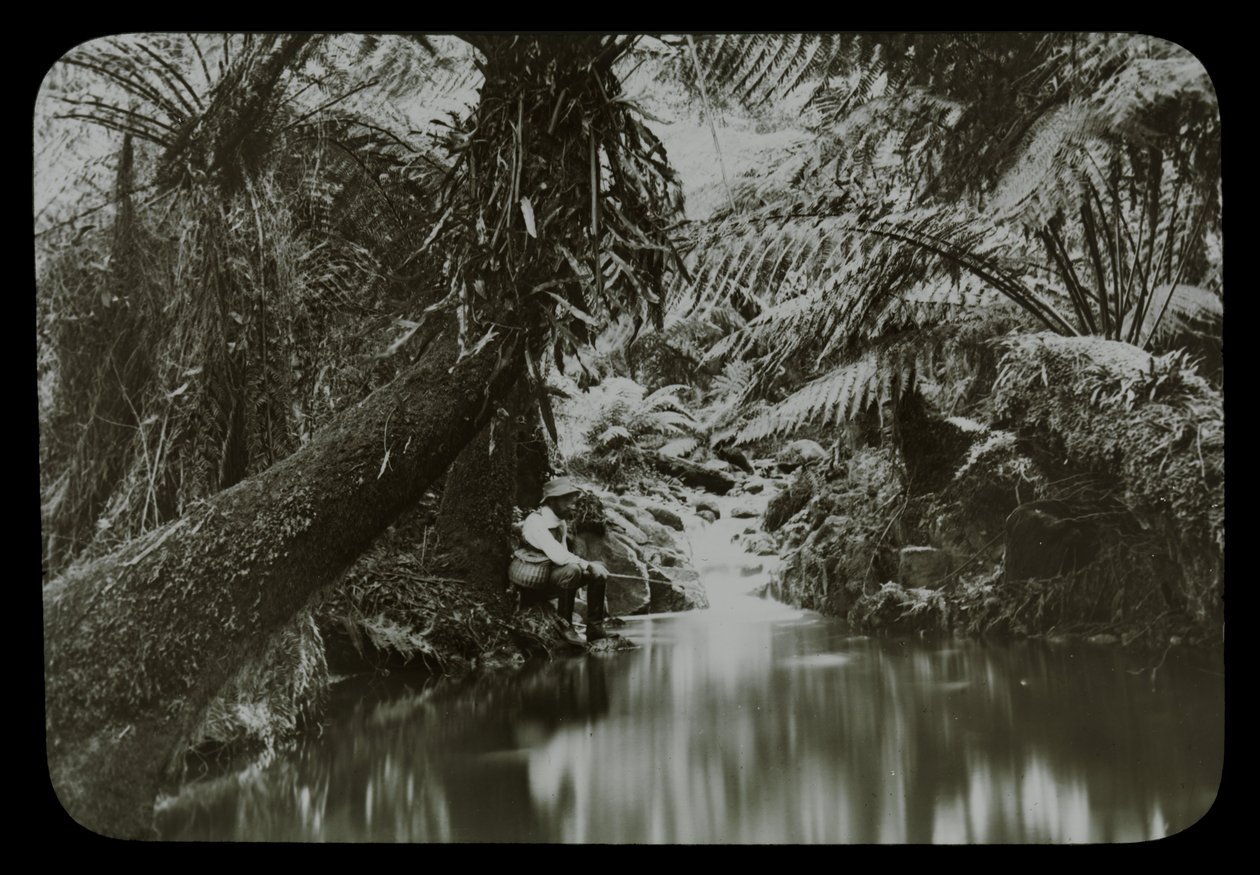 Bassin de pêche, Sassafras Gully - Archibald James Campbell
