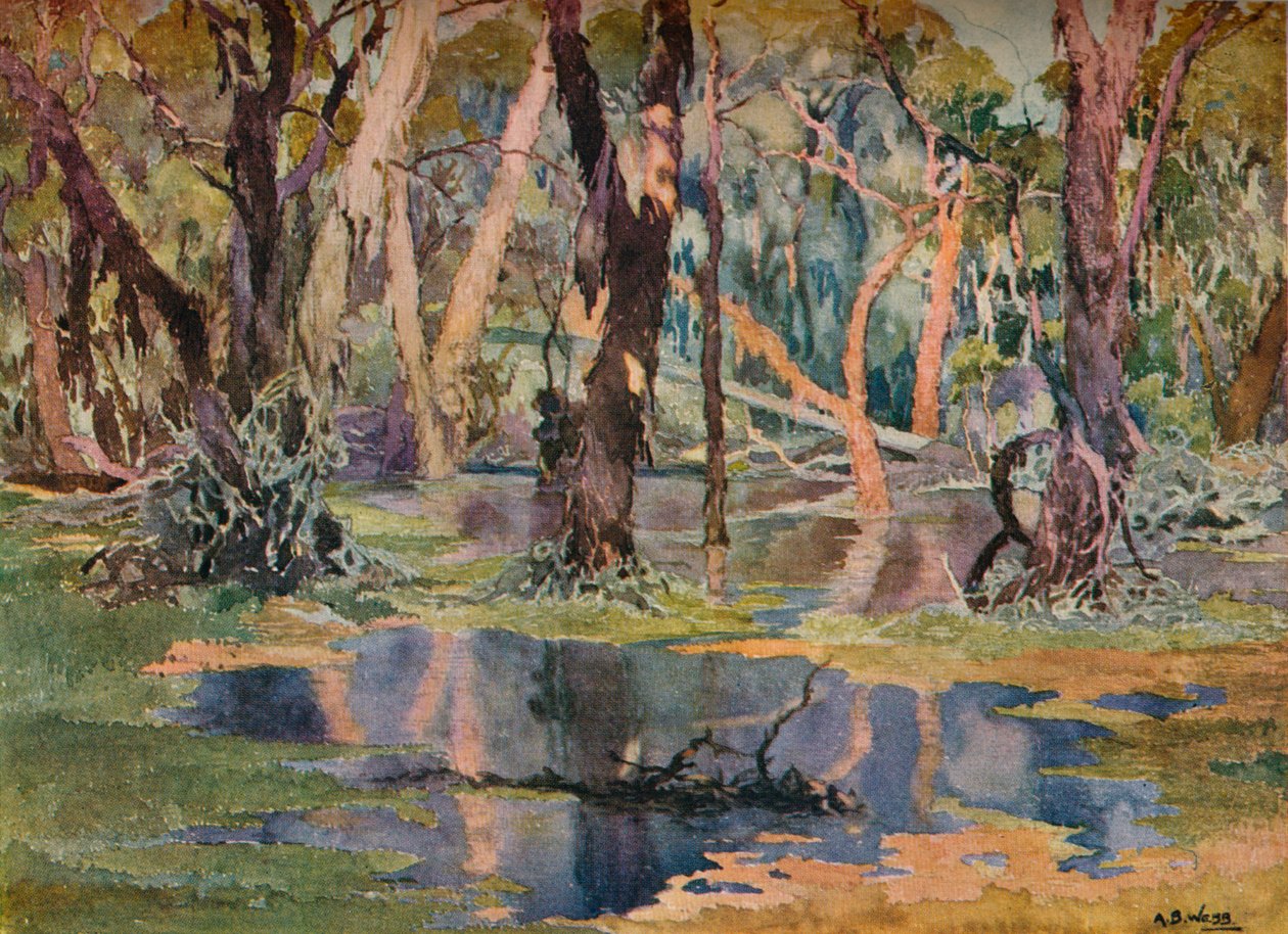 Quindanning Pool, vers 1927 - Archibald Bertram Webb