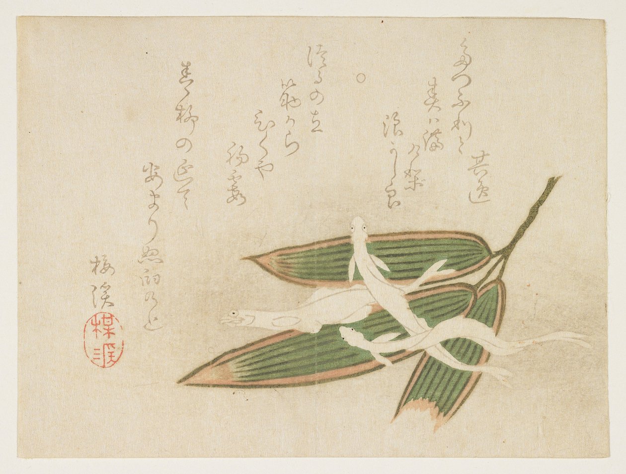 (Poisson blanc et feuilles de bambou) - Ariwara Baikei