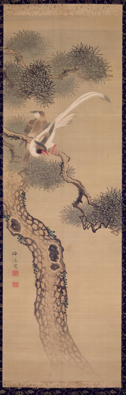Oiseaux à longue queue dans un pin, vers 1800 - Ariwara Baikei