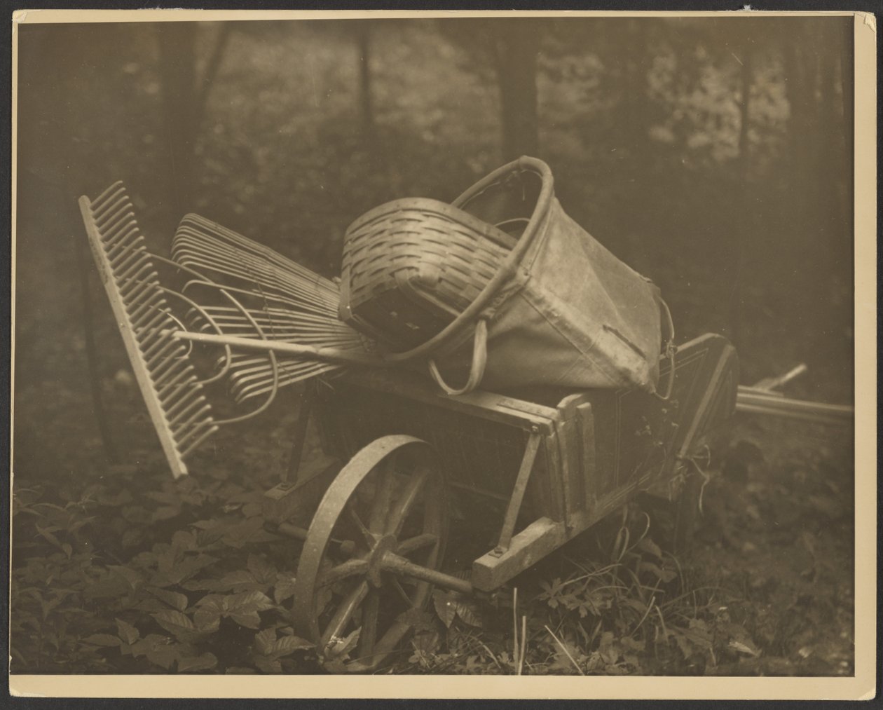 [Brouette avec outils] - Arnold Genthe
