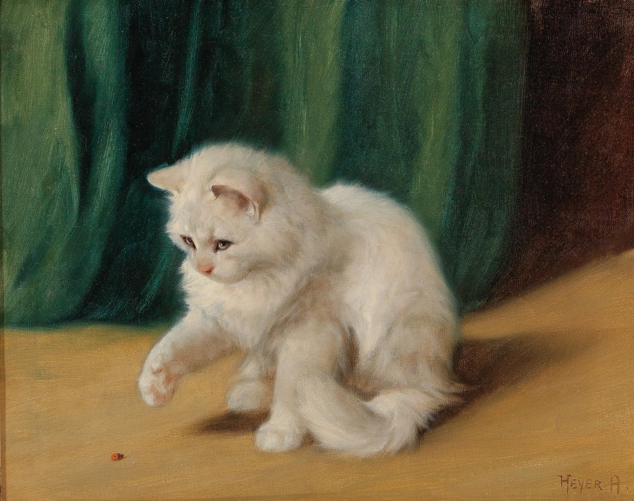 Chat avec coccinelle - Arthur Heyer
