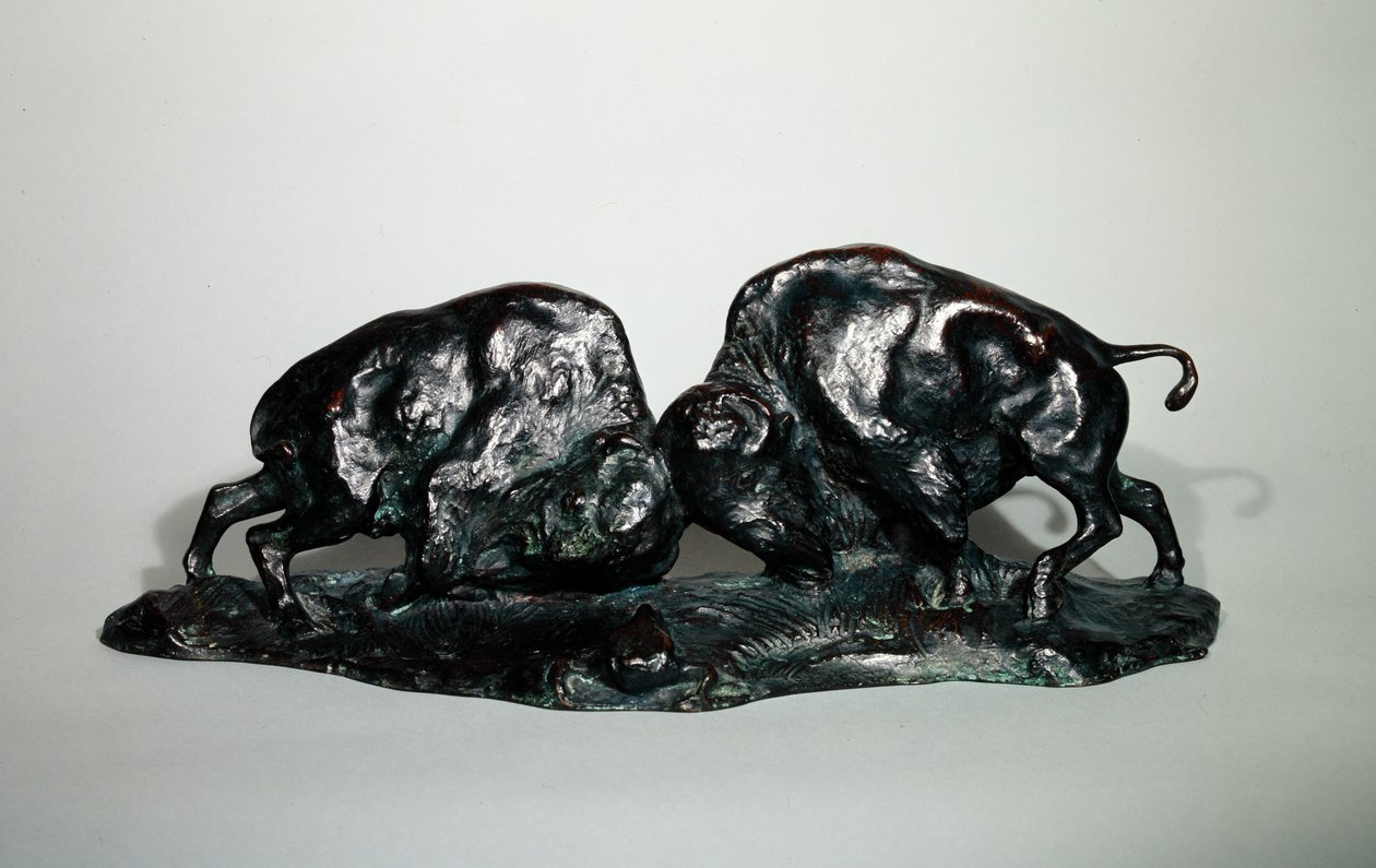 Deux buffles se battant, 1900 - Arthur Putnam