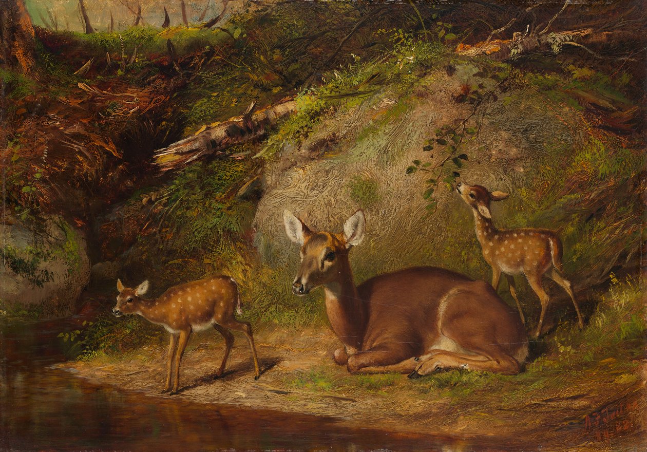 Biche et Deux Faons - Arthur Fitzwilliam Tait