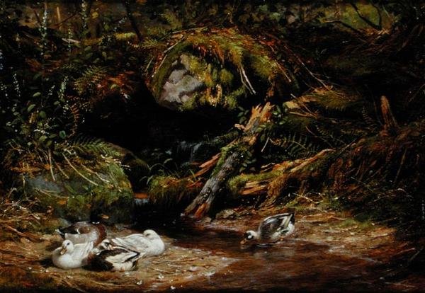 Canards à la source - Arthur Fitzwilliam Tait