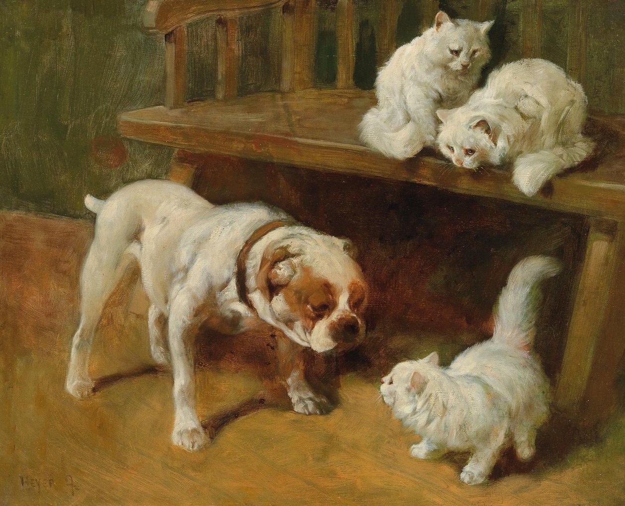 Chiens et chats - Arthur Heyer
