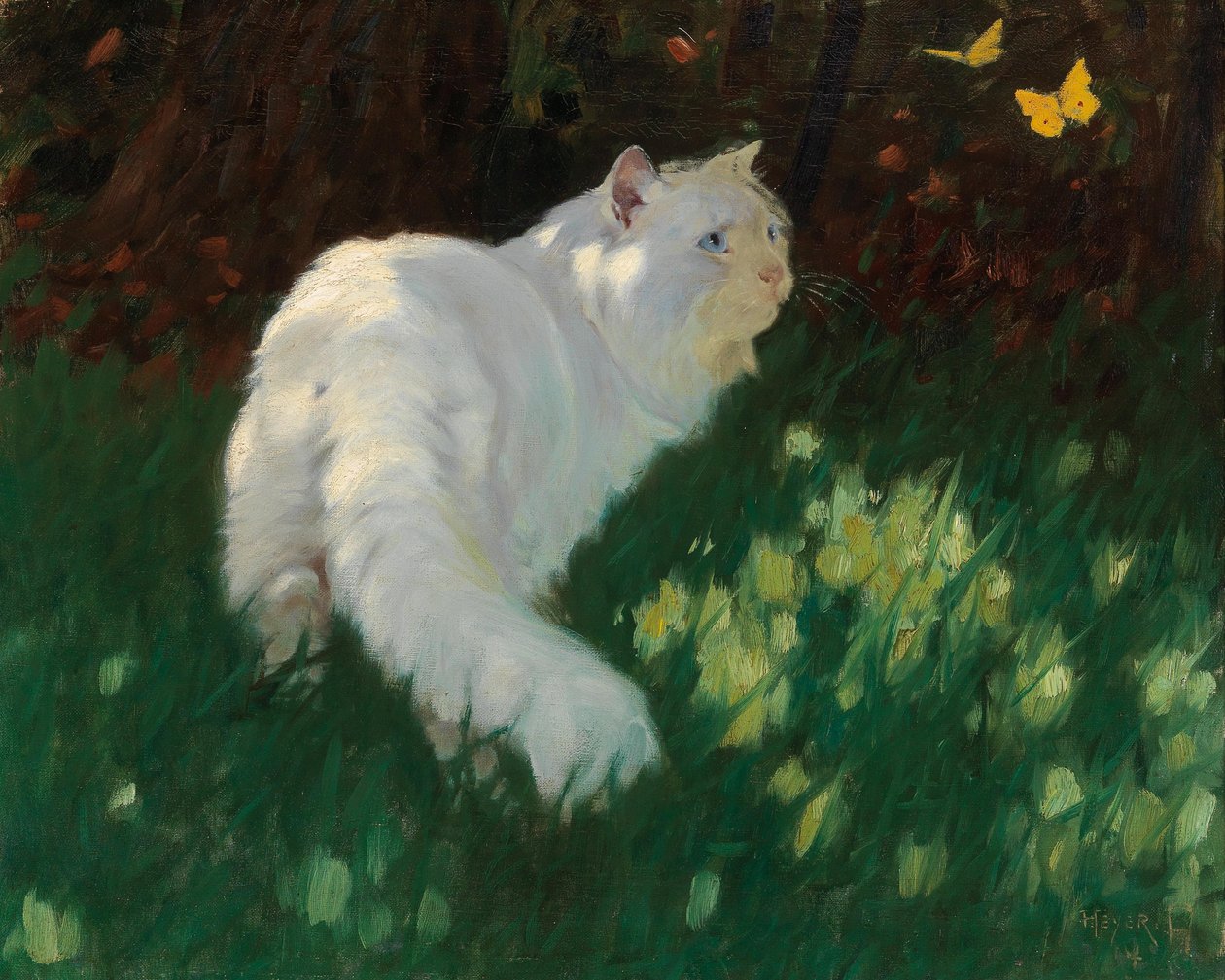 Chat blanc et papillons - Arthur Heyer