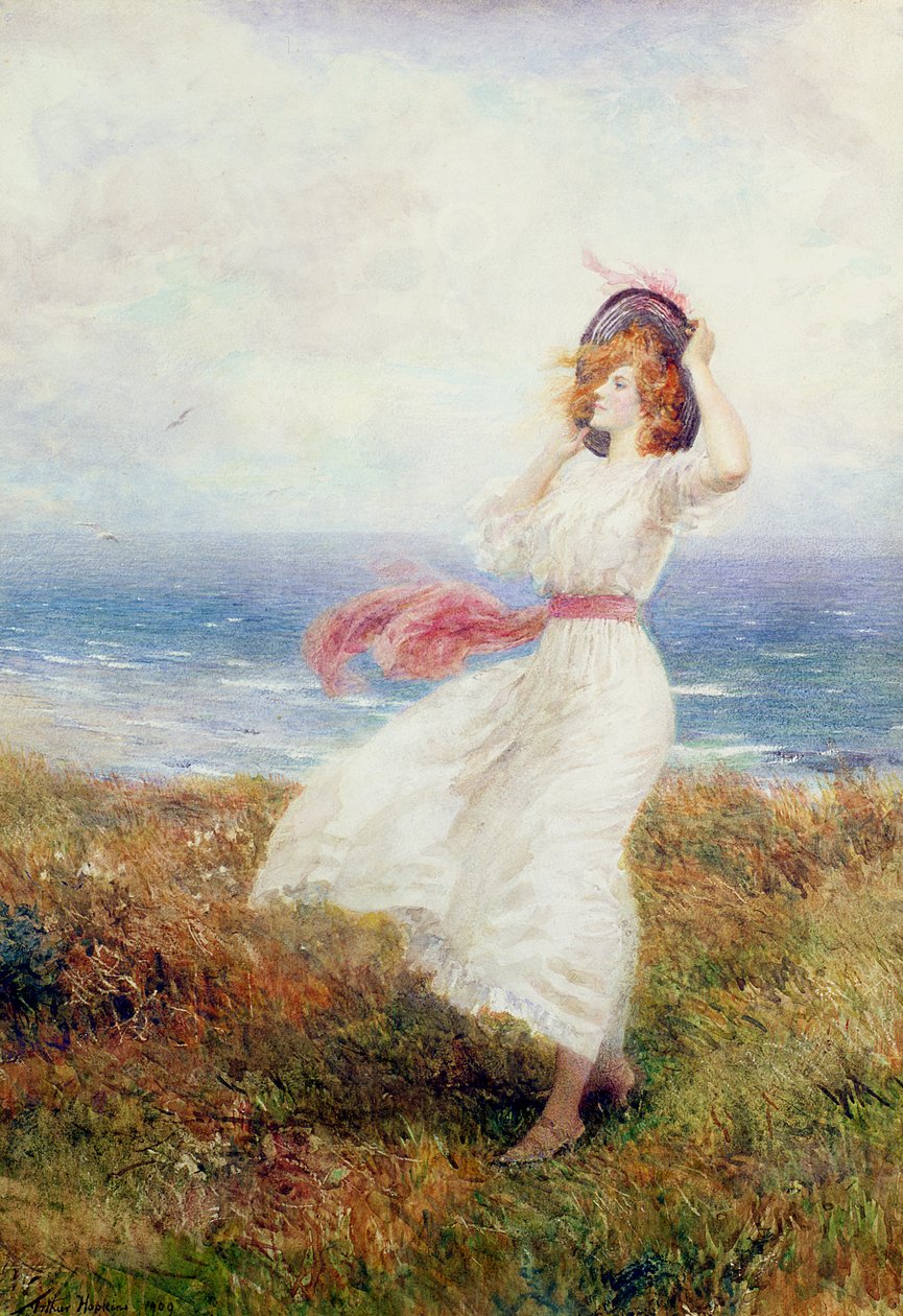 Un coup sur les falaises - Arthur Hopkins