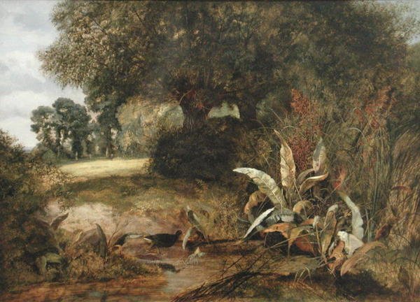 Un coin tranquille - Arthur J. Stark
