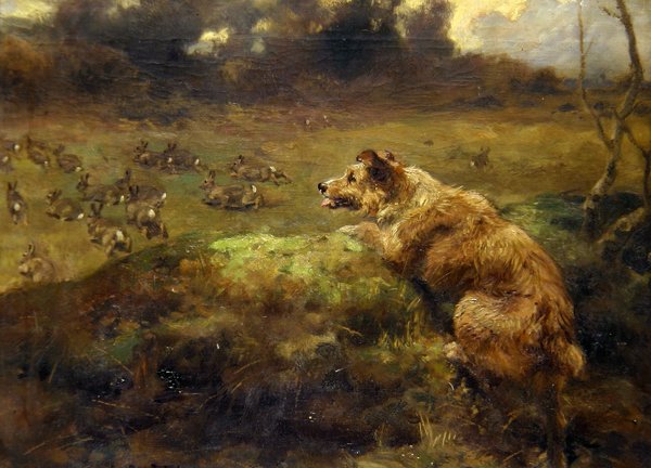 Chasseur de lapins - Arthur John Strutt