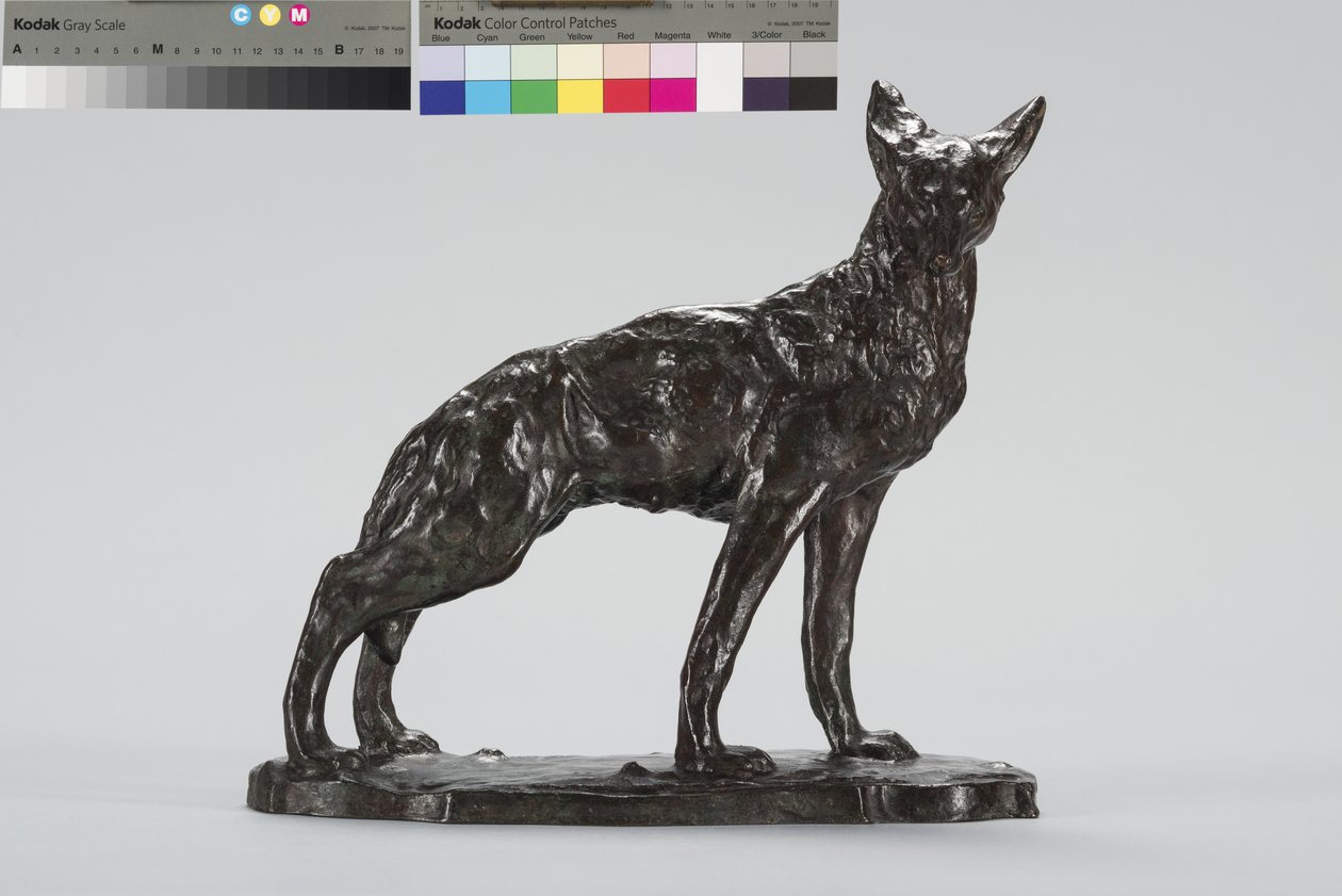 Coyote en alerte - Arthur Putnam