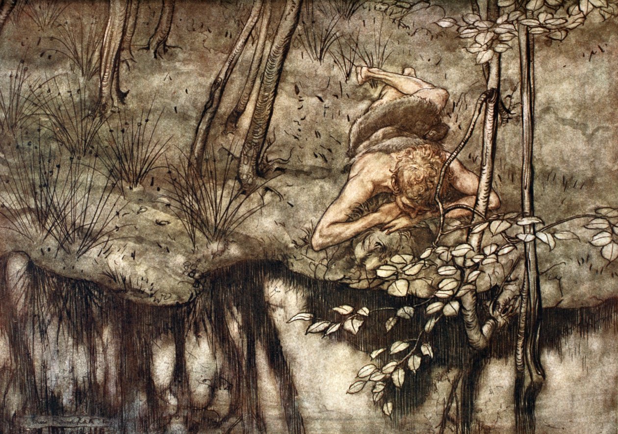 Siegfried se voit dans le ruisseau, 1924 - Arthur Rackham