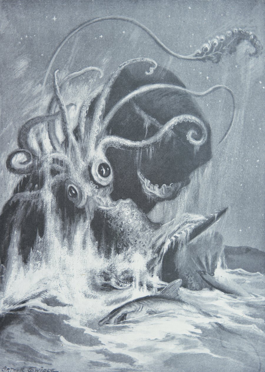 Le Kraken contre les cachalots - Arthur Twidle