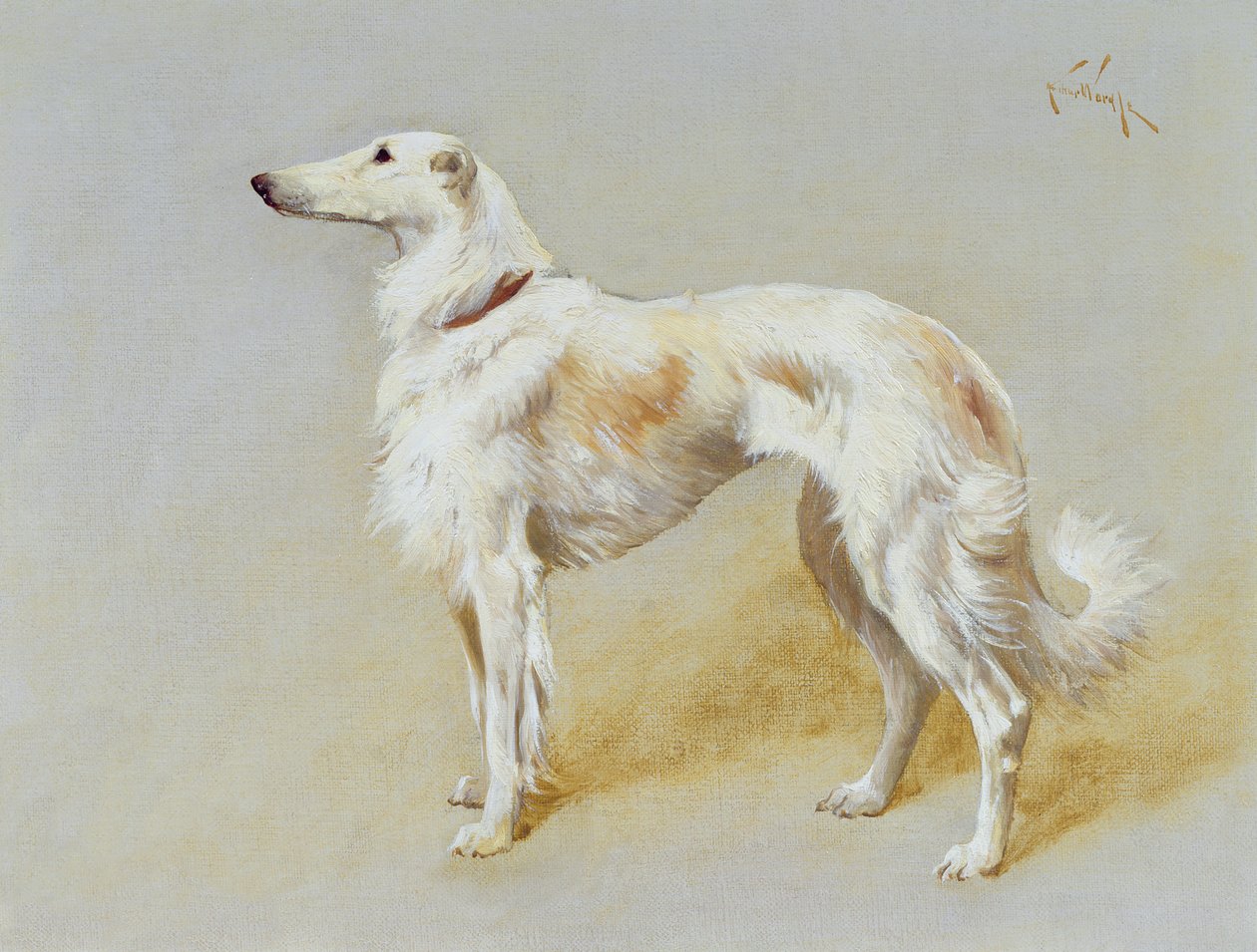 Un chien Borzoi - Arthur Wardle