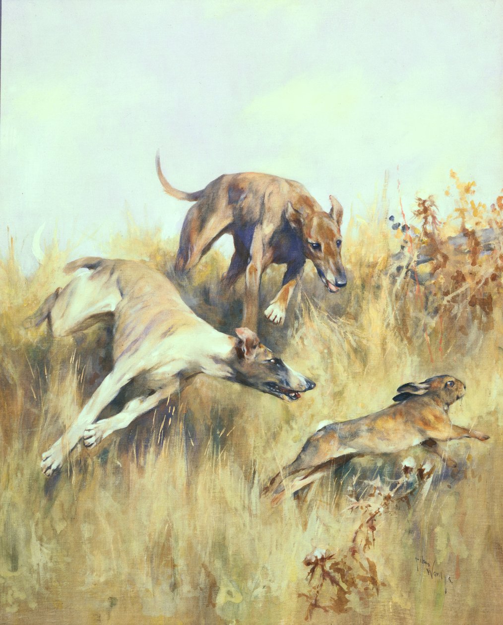 Lévriers en chasse - Arthur Wardle