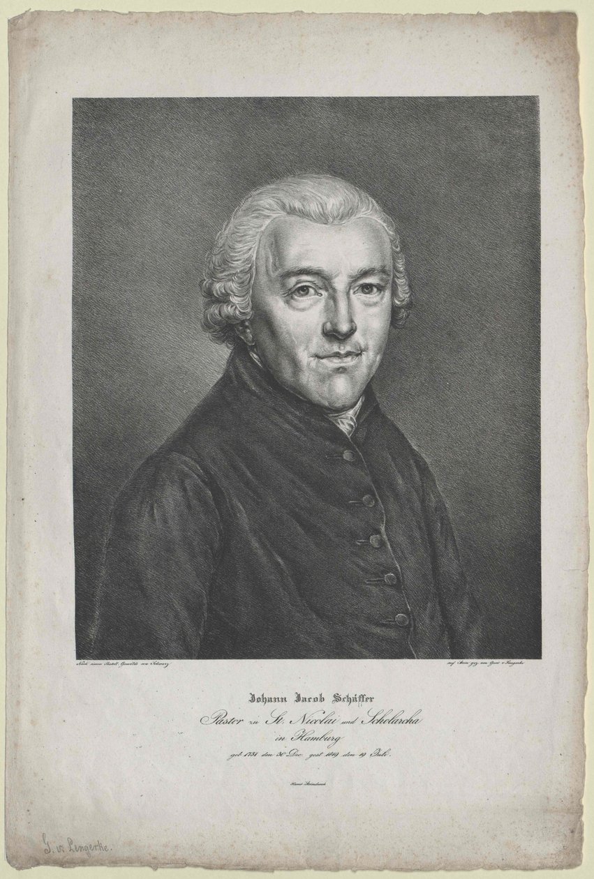 Johann Jakob Schaeffer - Artist Unknown