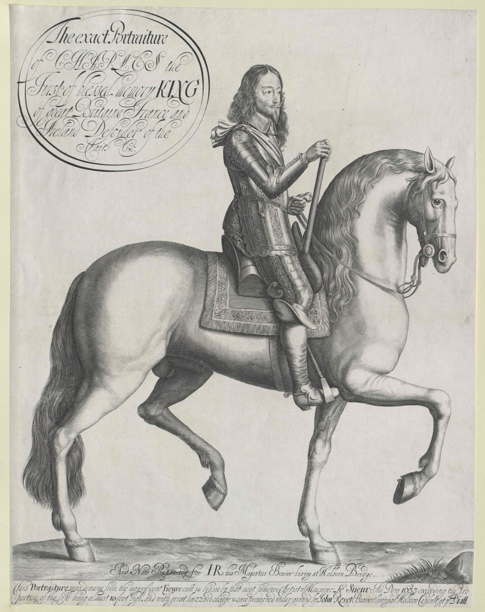 Roi d