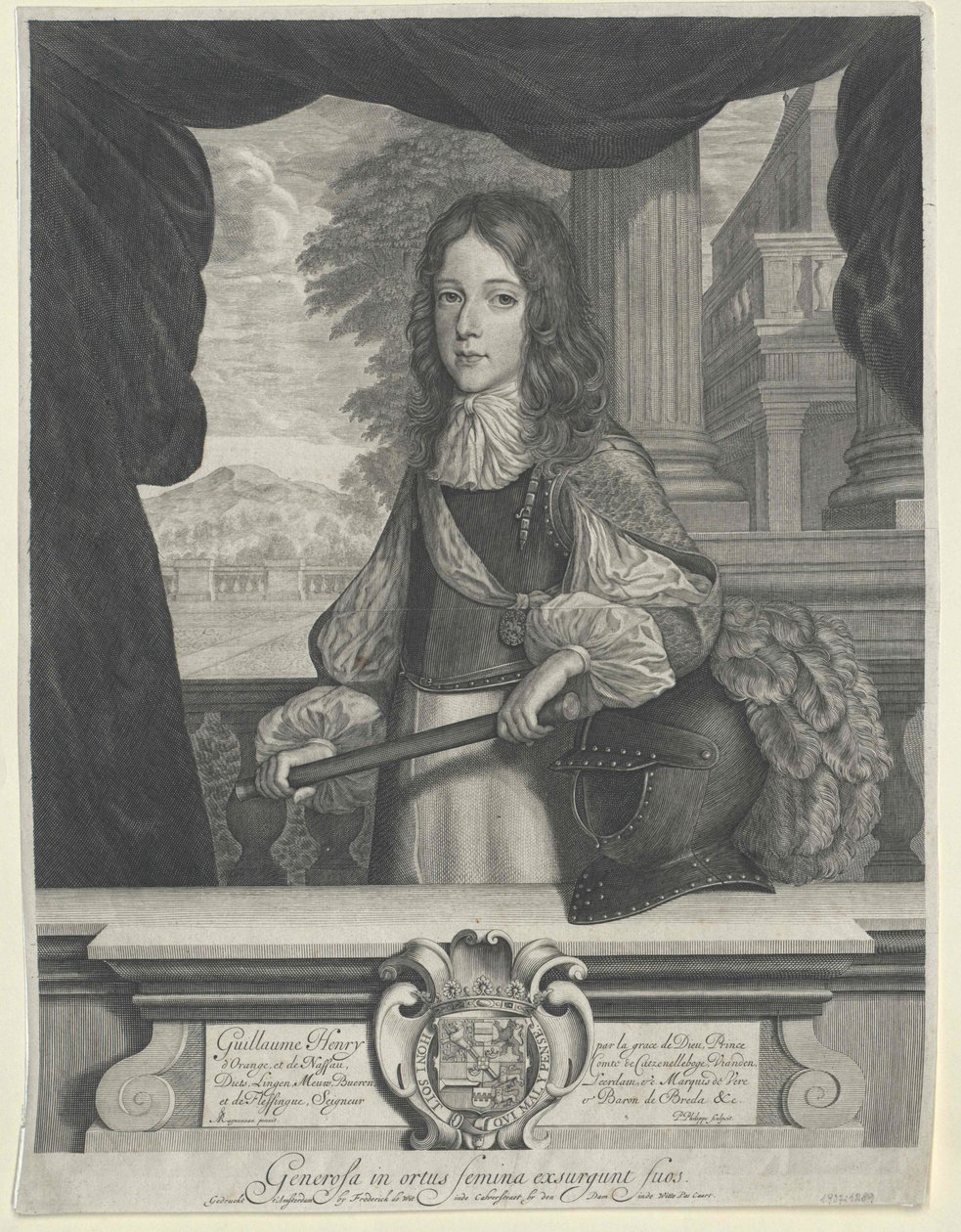 Roi d