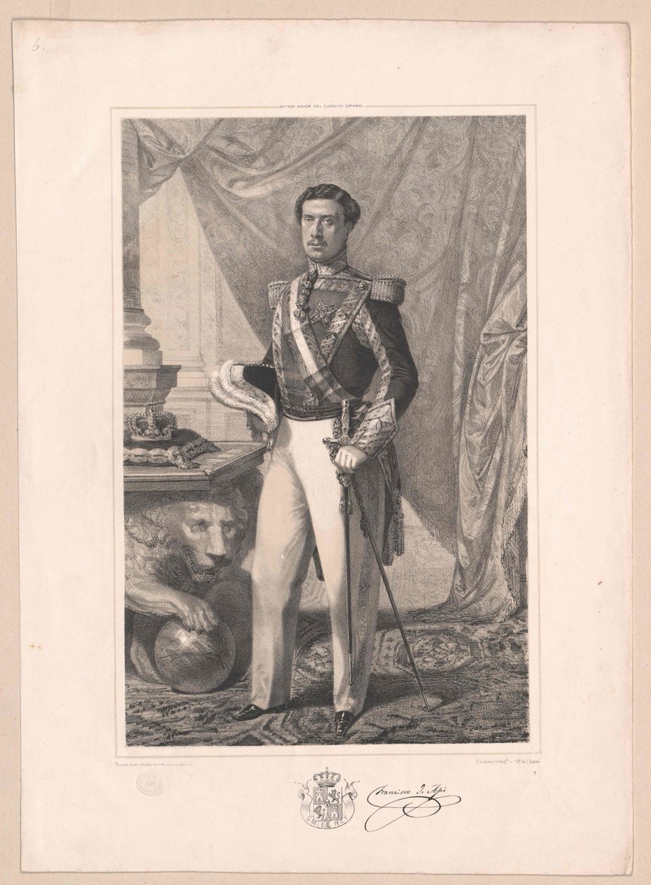 Roi d