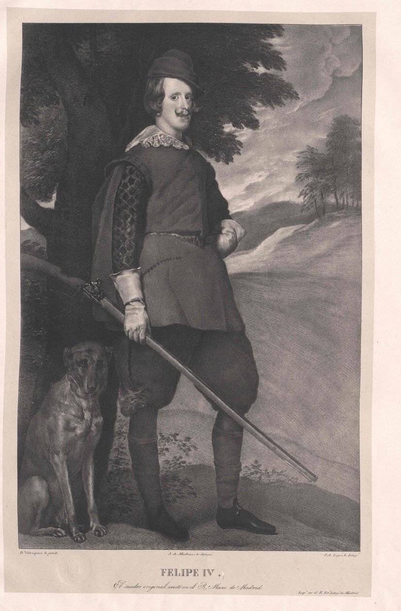Roi d