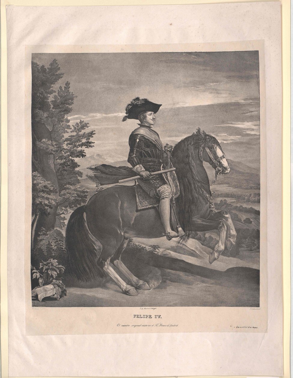 Roi d