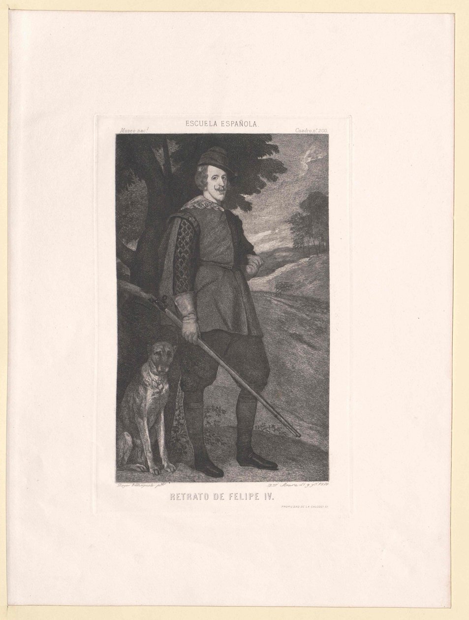 Roi d