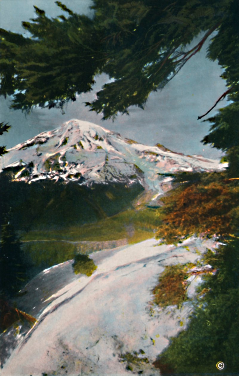 Mont Tacoma depuis Eagle Peak, Washington, vers 1916 - Asahel Curtis