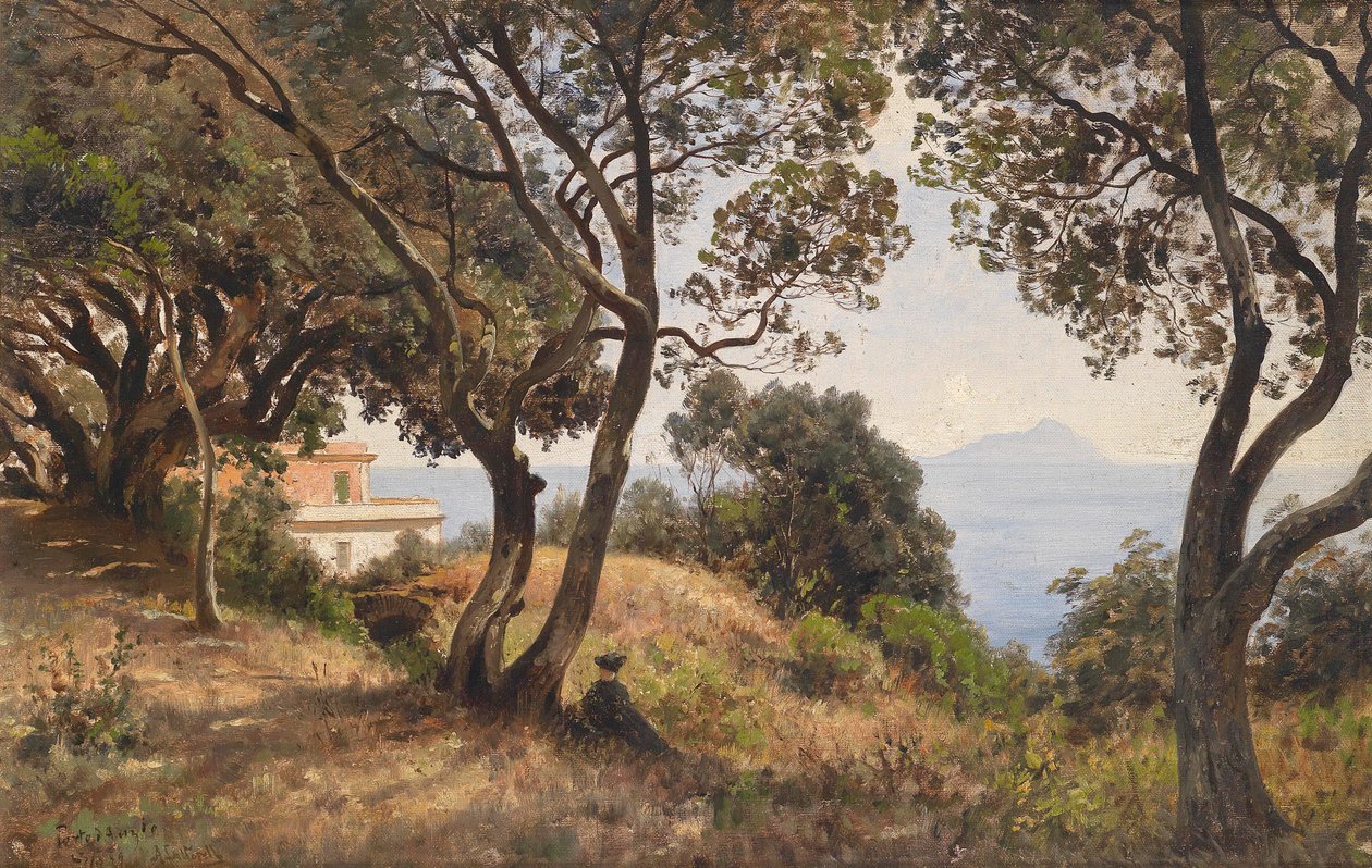 Vue du sud - Ascan Lutteroth