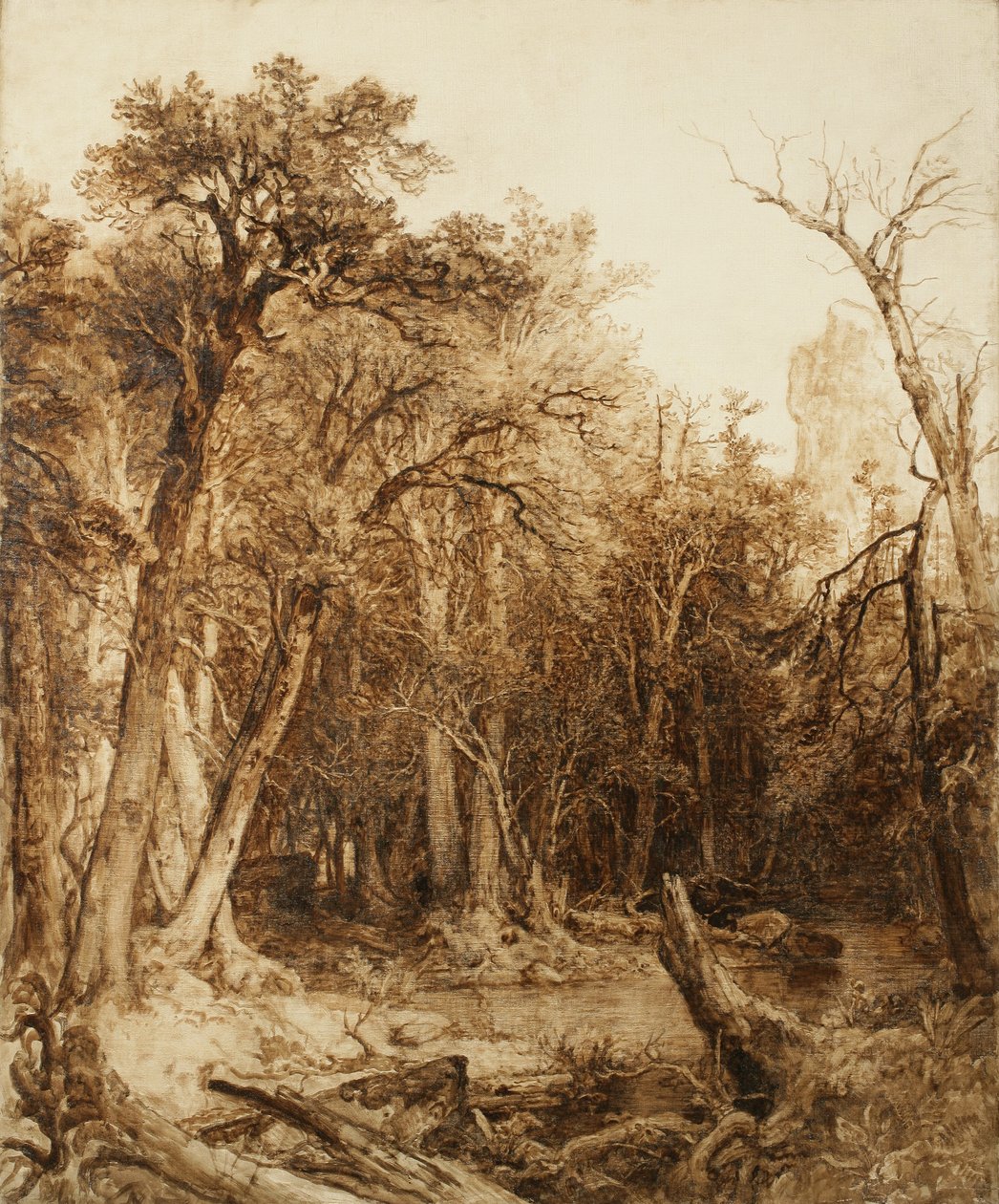 Forêt primitive, 1854 - Asher Brown Durand