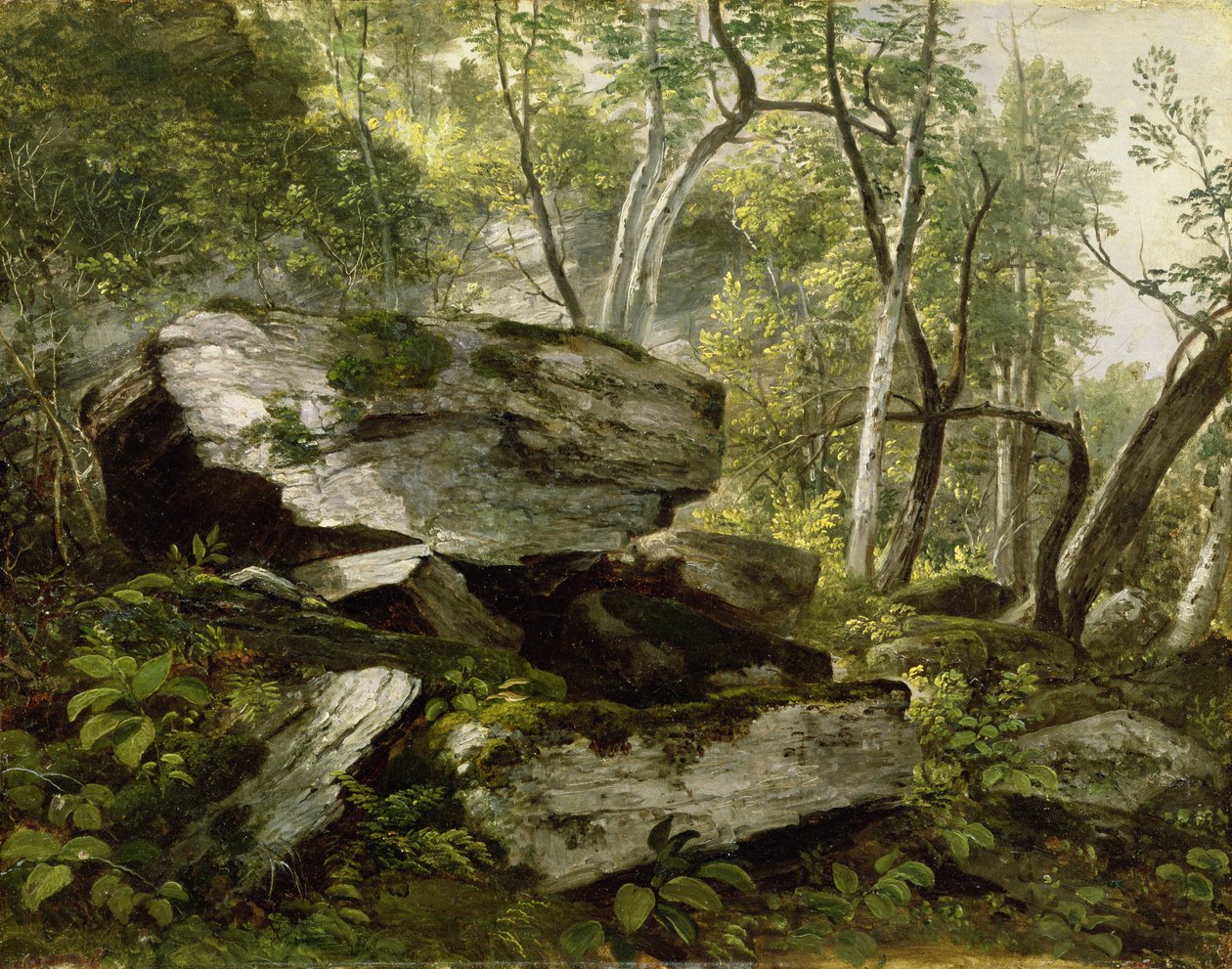 Étude de la nature : Rochers et arbres, c.1856 - Asher Brown Durand