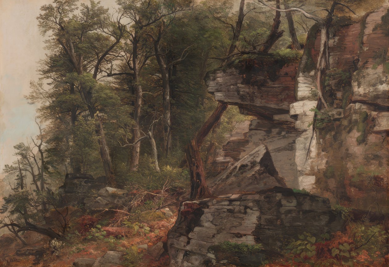 Arbres sur une pente rocheuse - Asher Brown Durand