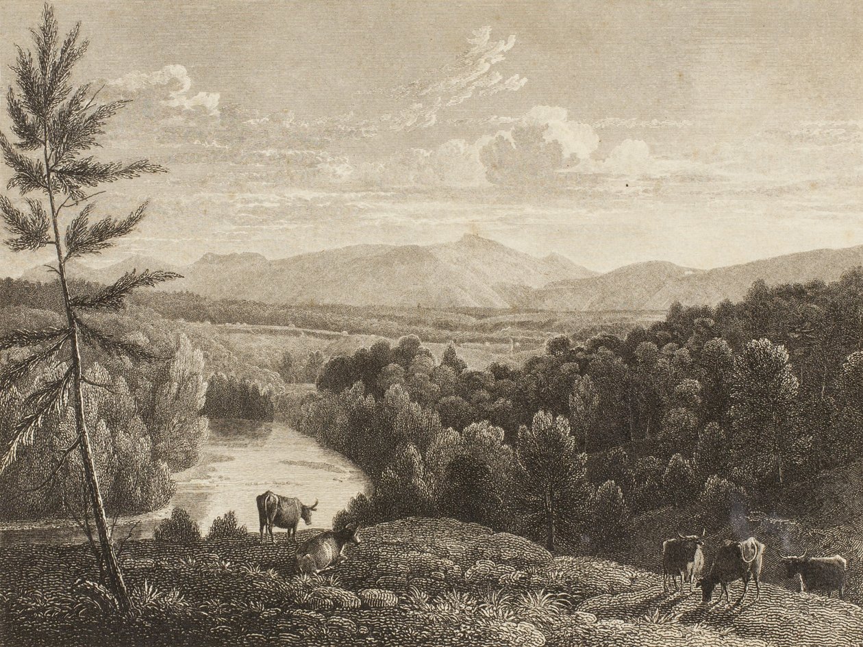 Montagnes Catskill - Asher Brown Durand
