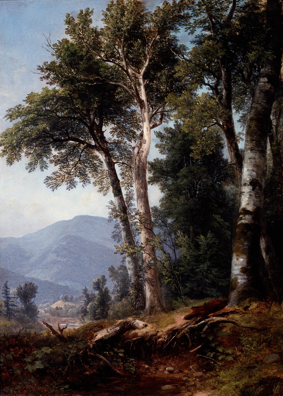 Paysage forestier, vers 1850 (huile sur toile) - Asher Brown Durand
