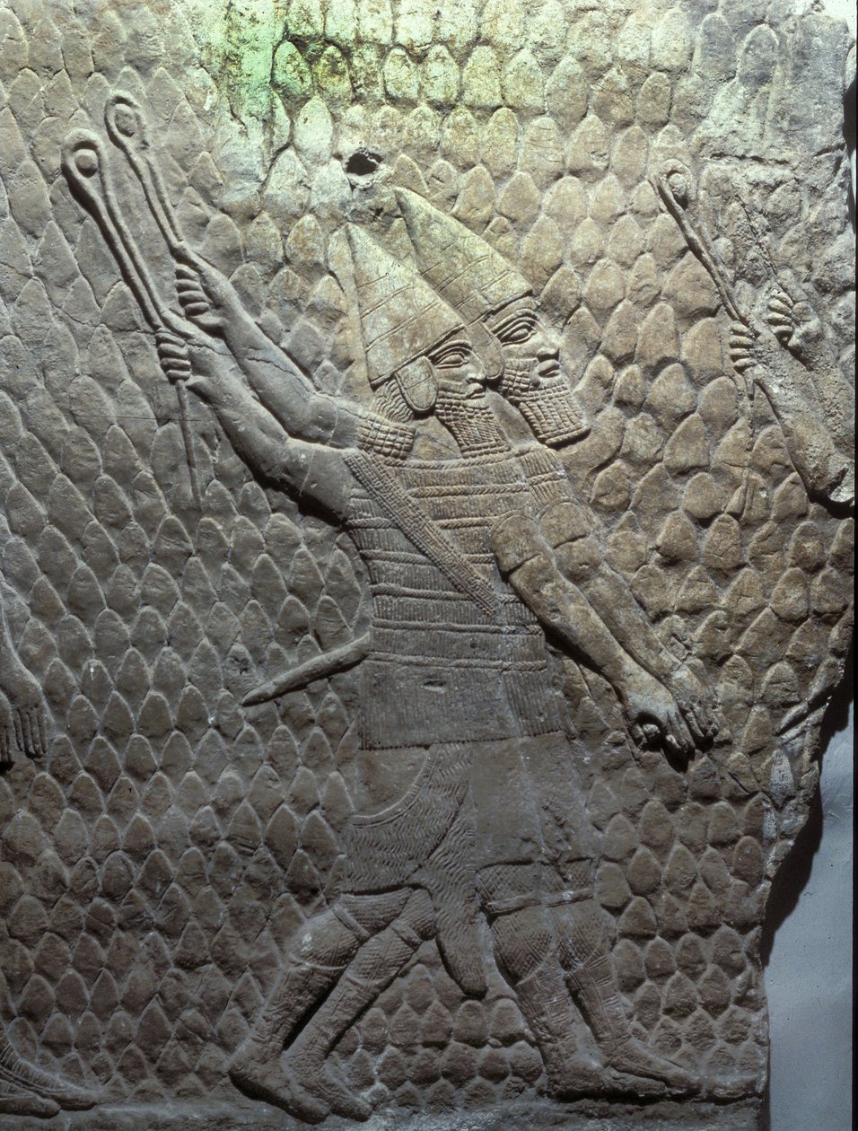 Frondes assyriennes, Palais de Sennachérib, Ninive - Assyrian