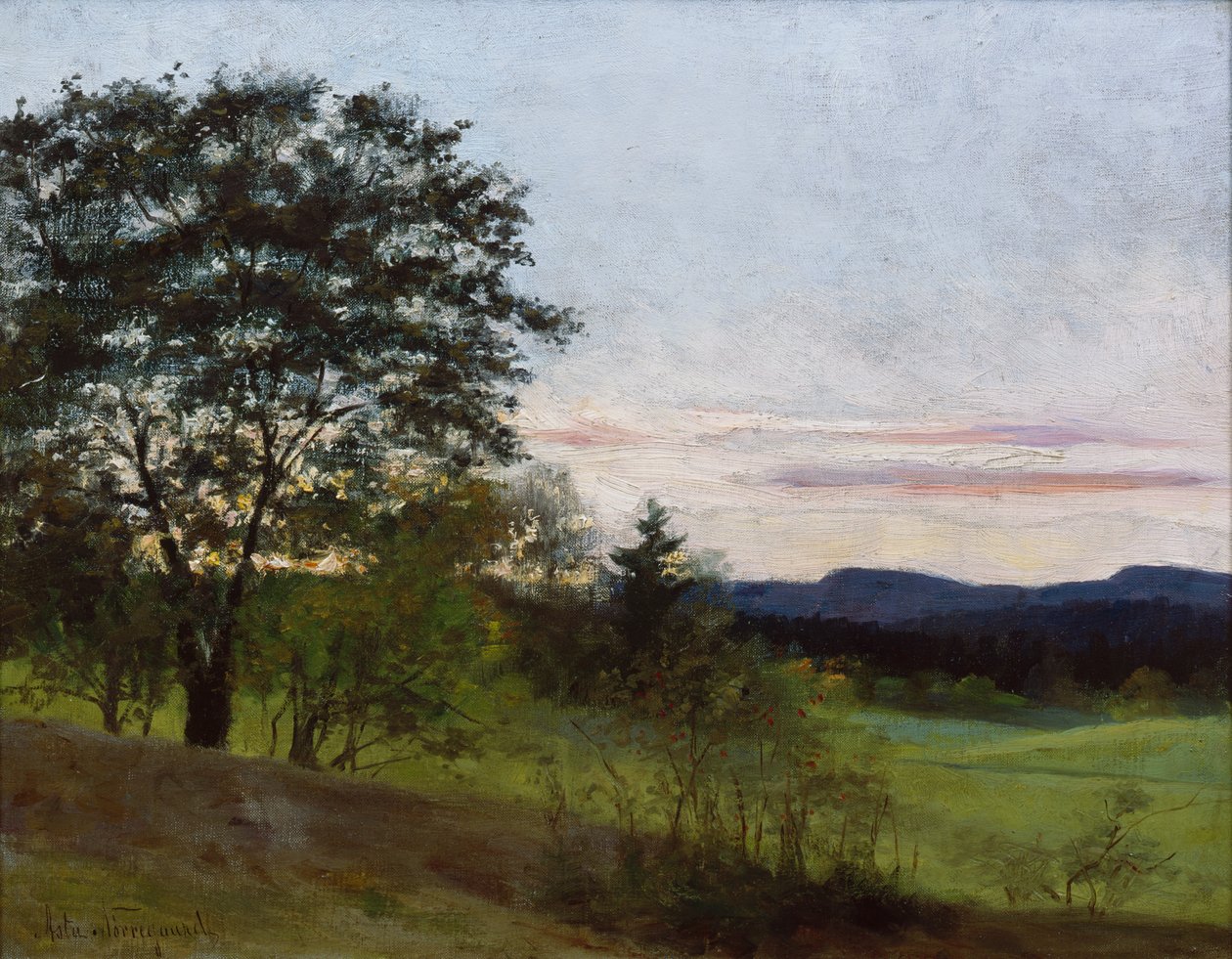 Paysage d