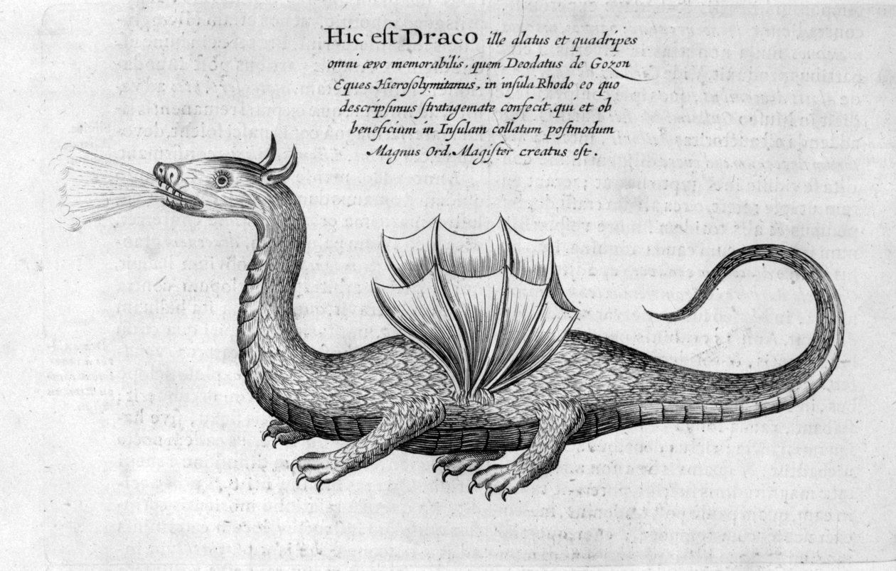 Dragon, 1678 - Athanasius Kircher