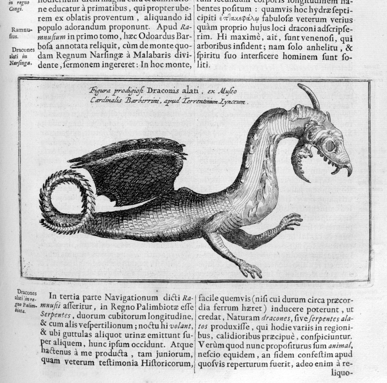 Dragon, 1678 - Athanasius Kircher