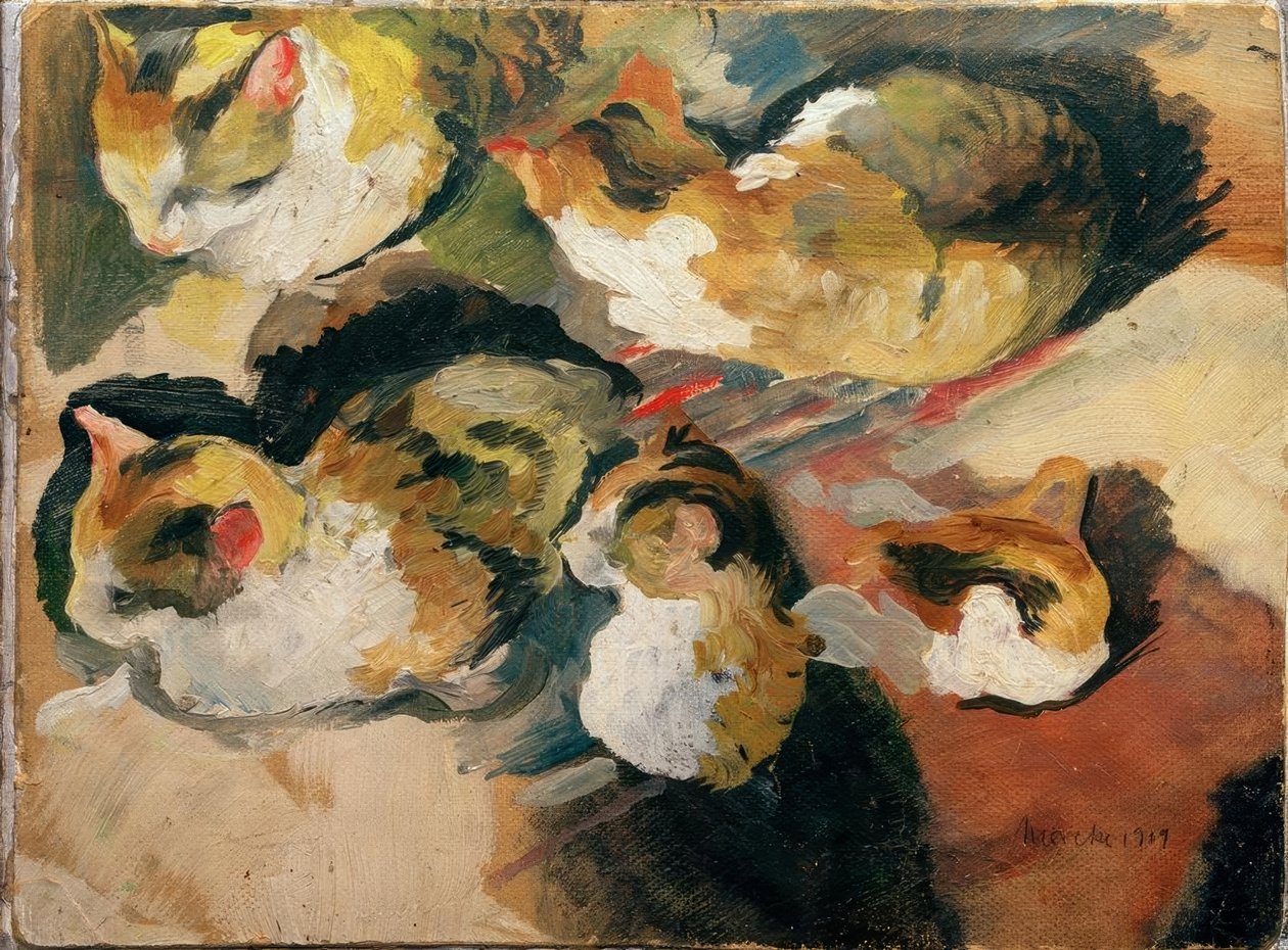 Études de chats - August Macke