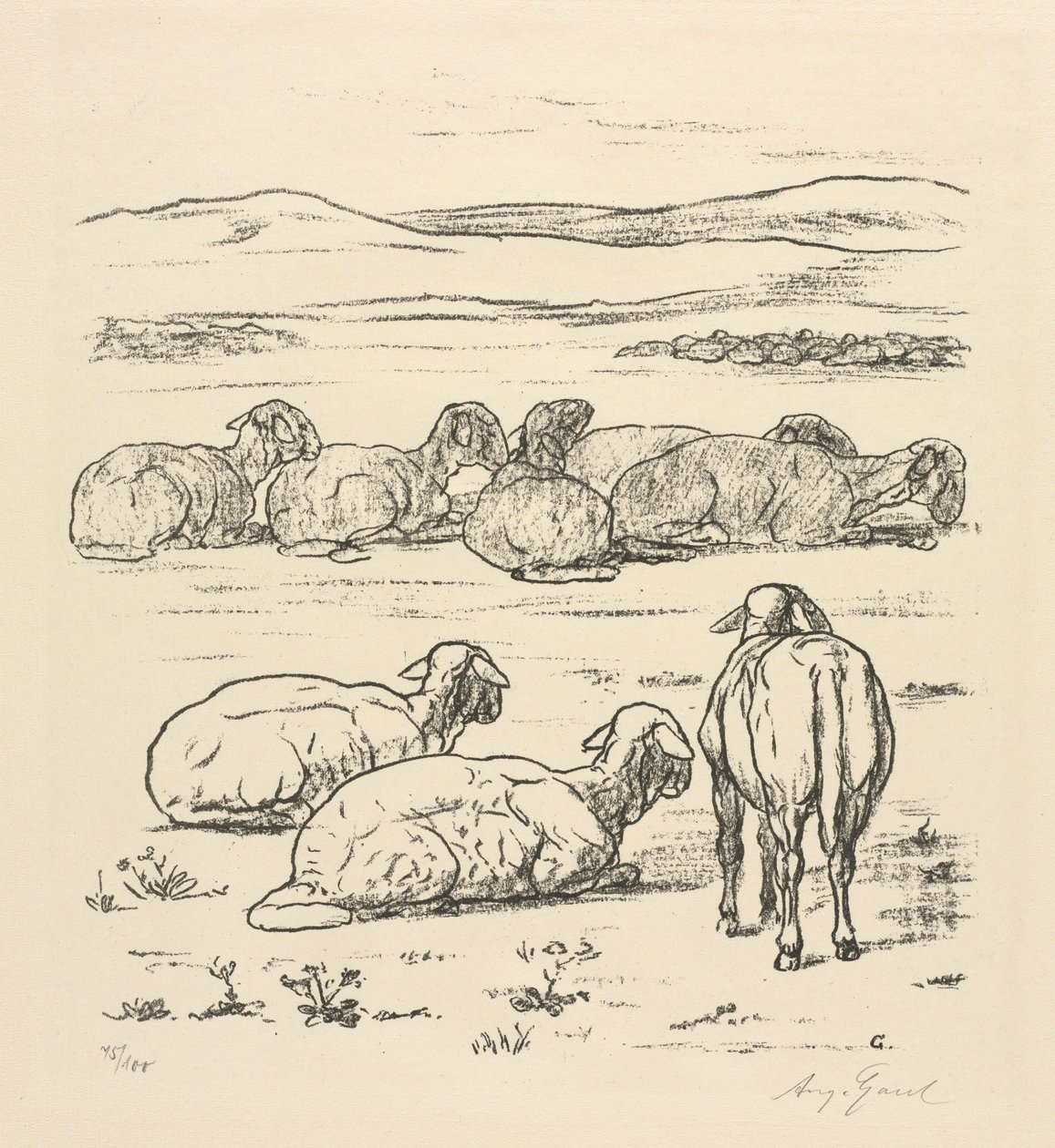 Moutons - August Gaul