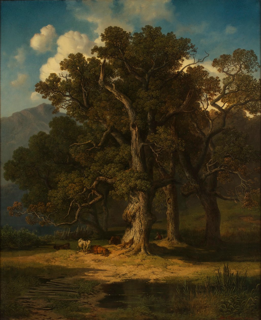 Paysage forestier - August Maximilian Zimmermann