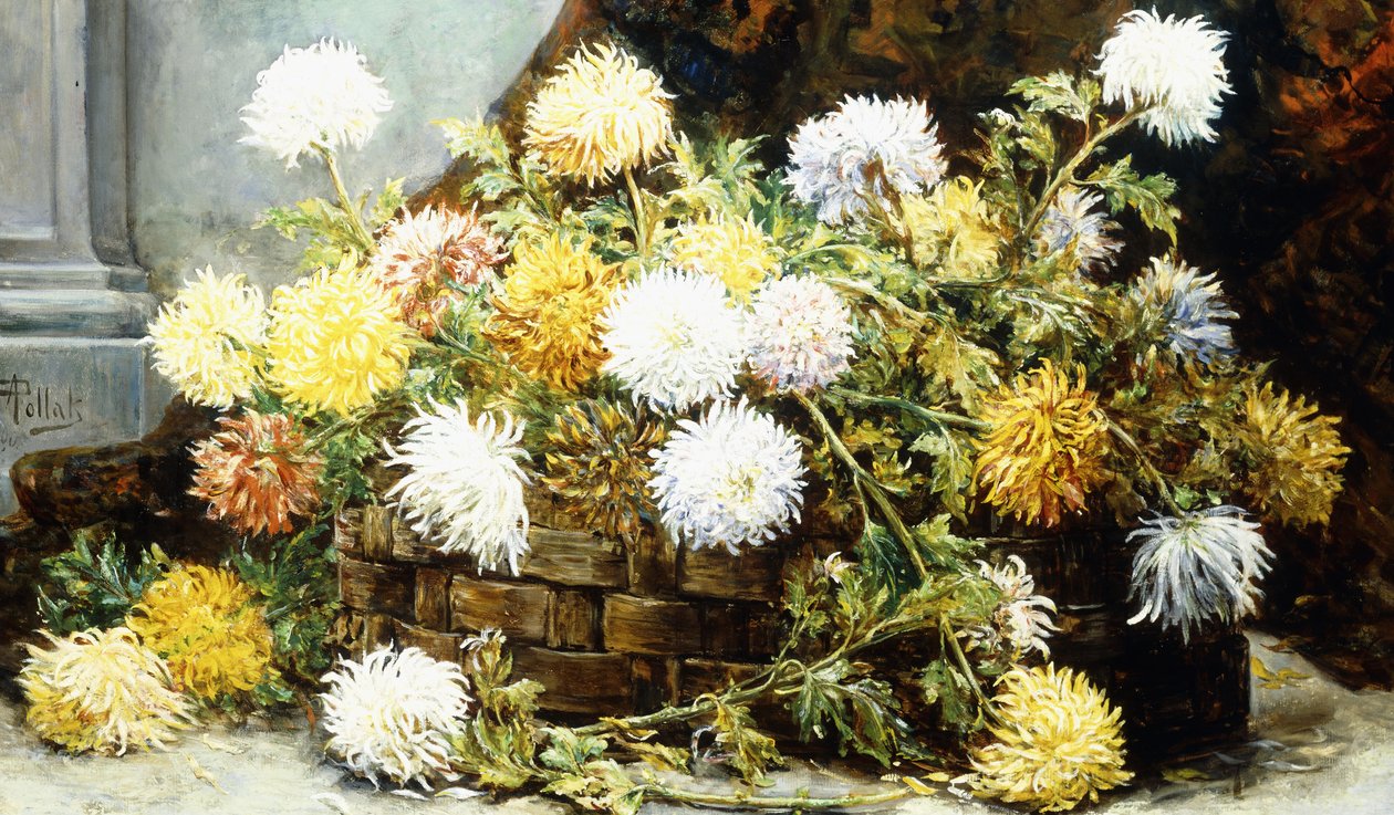 Chrysanthèmes dans un panier - August Pollak
