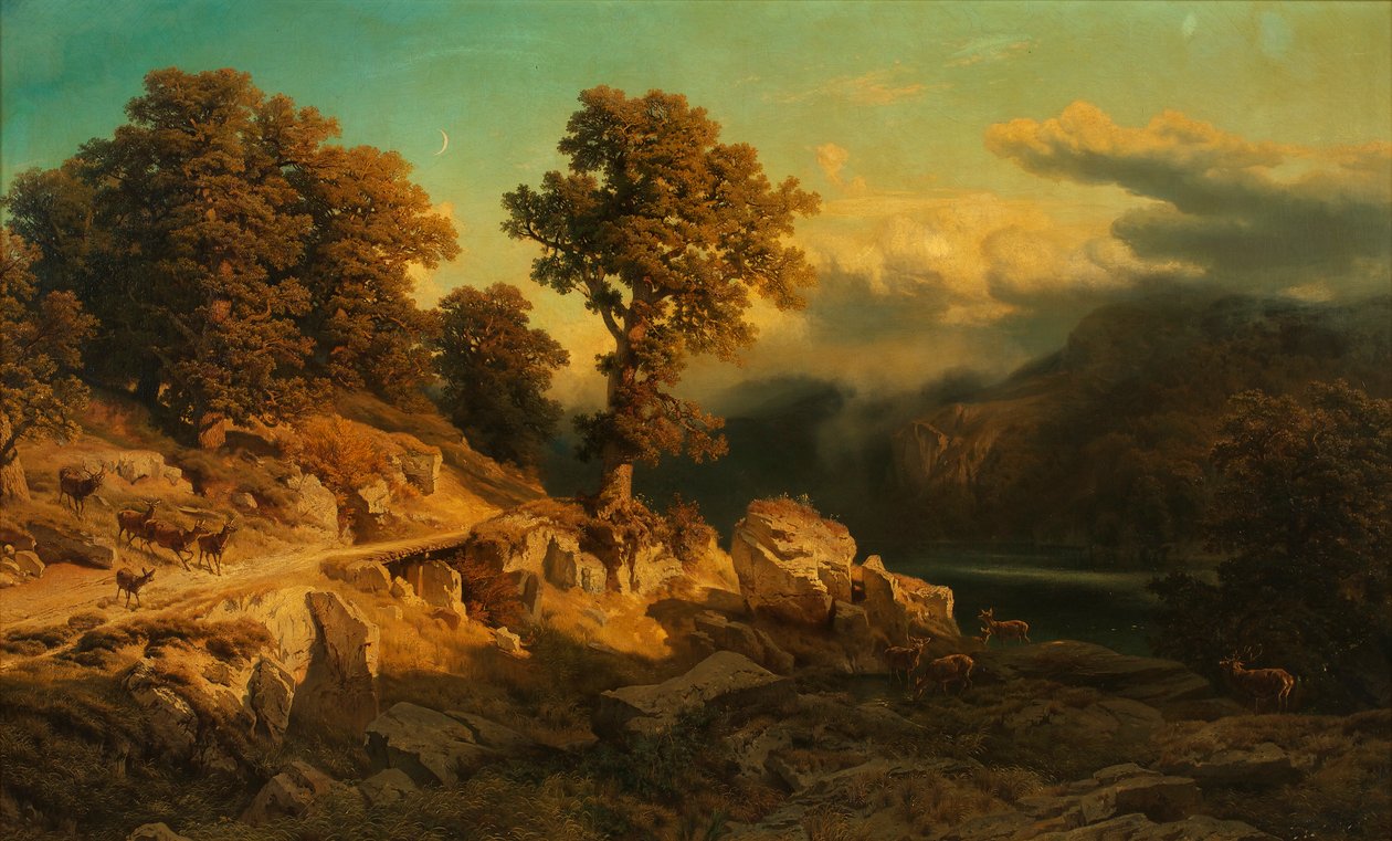 Paysage d