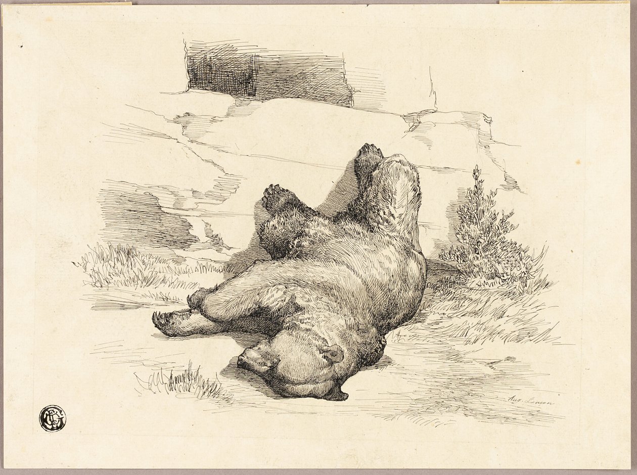 Ours russe - Auguste Andre Lancon